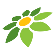 BAYAR PAJAK TOKOPEDIA